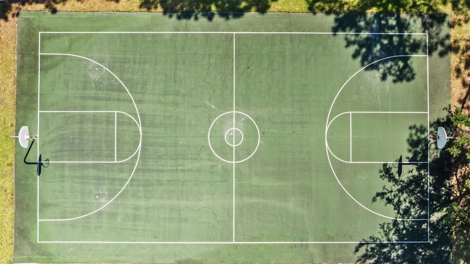 26306 WHIRLAWAY TER, WESLEY CHAPEL, FL, 33544