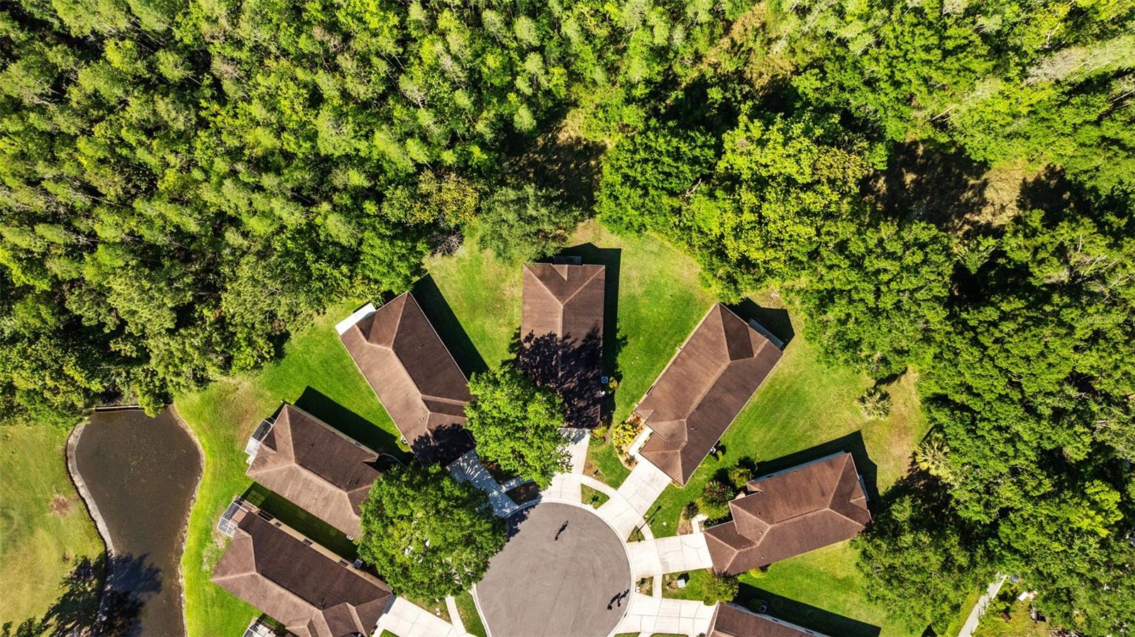 26306 WHIRLAWAY TER, WESLEY CHAPEL, FL, 33544