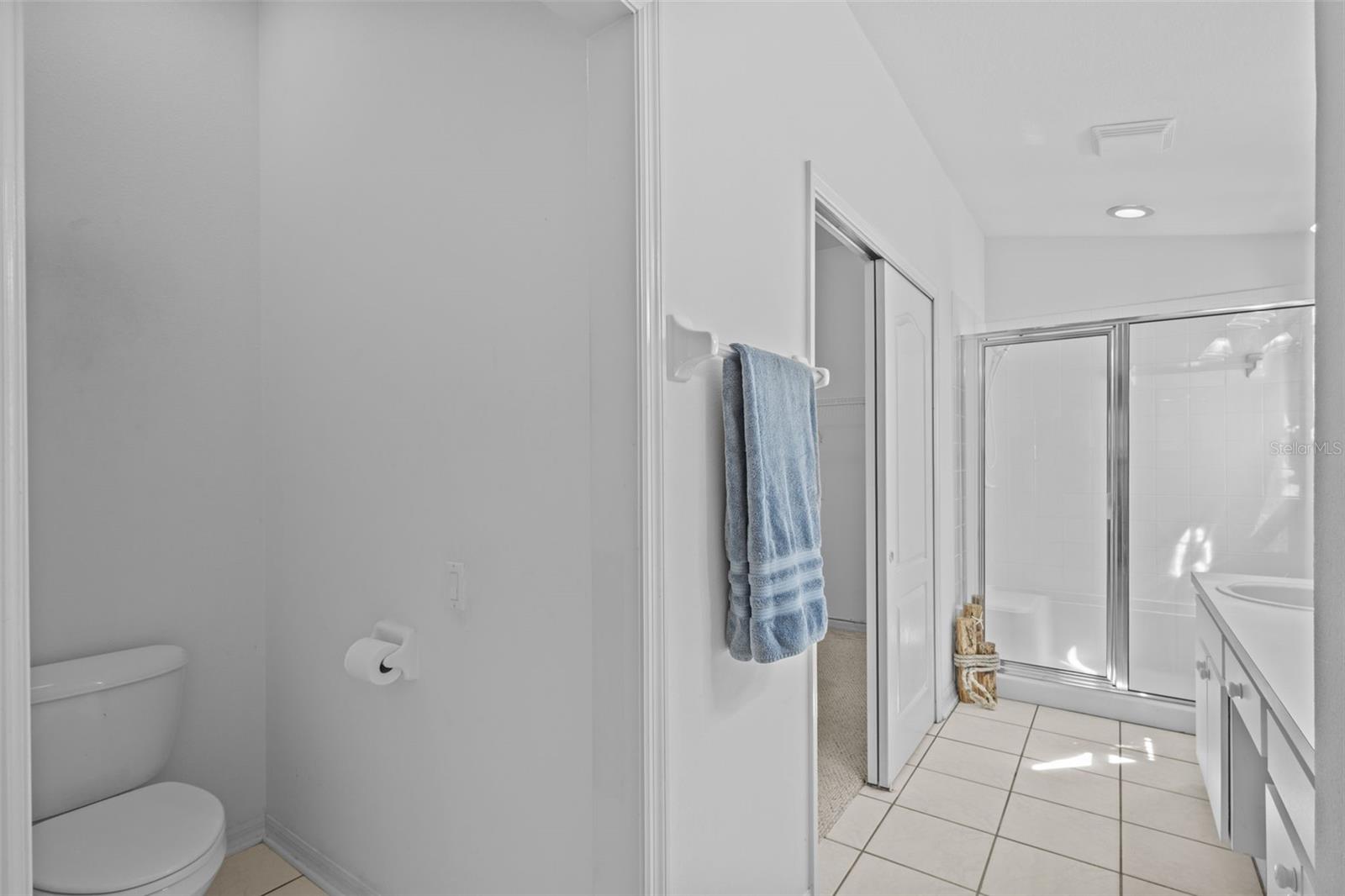 26306 WHIRLAWAY TER, WESLEY CHAPEL, FL, 33544