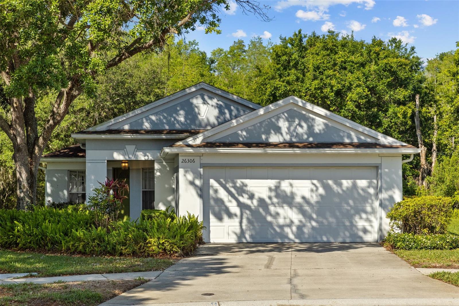 26306 WHIRLAWAY TER, WESLEY CHAPEL, FL, 33544