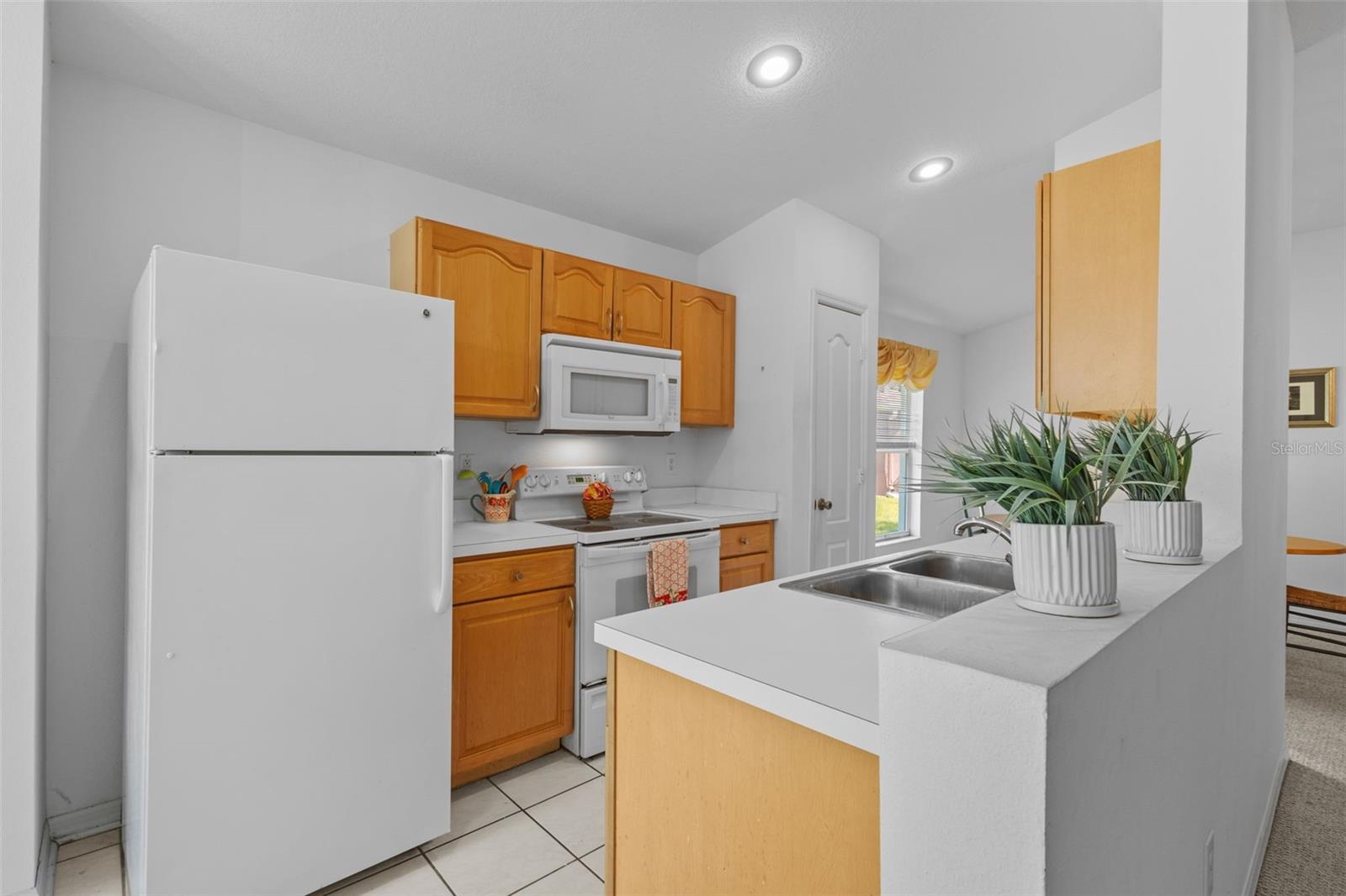 26306 WHIRLAWAY TER, WESLEY CHAPEL, FL, 33544