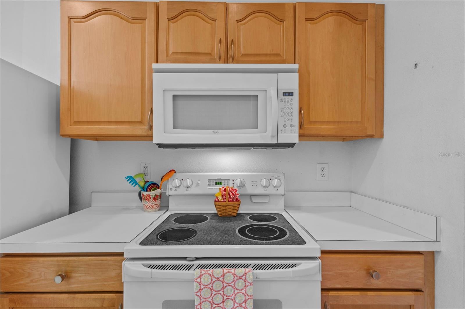 26306 WHIRLAWAY TER, WESLEY CHAPEL, FL, 33544