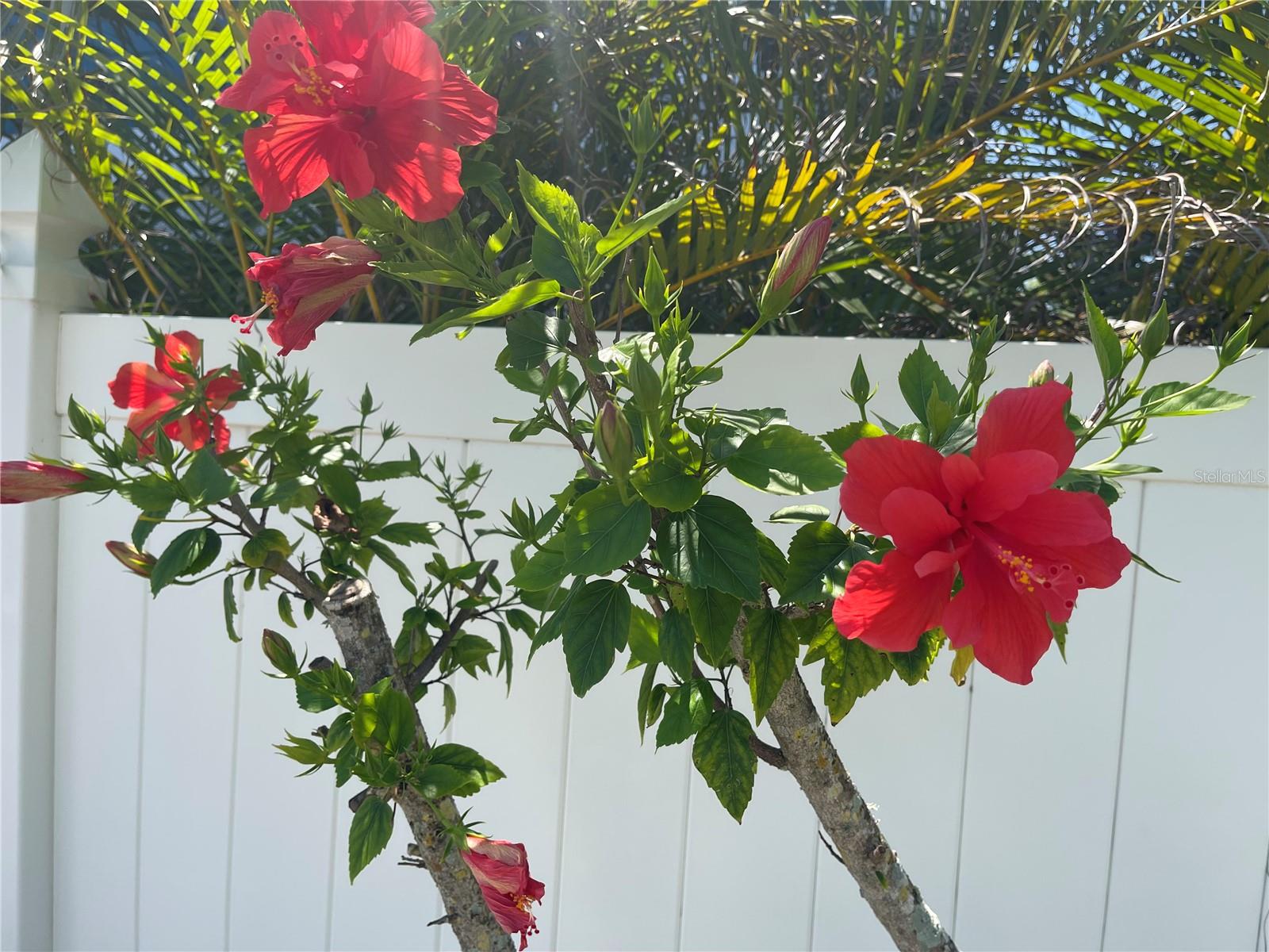 2512 AVENUE C #B, BRADENTON BEACH, FL, 34217