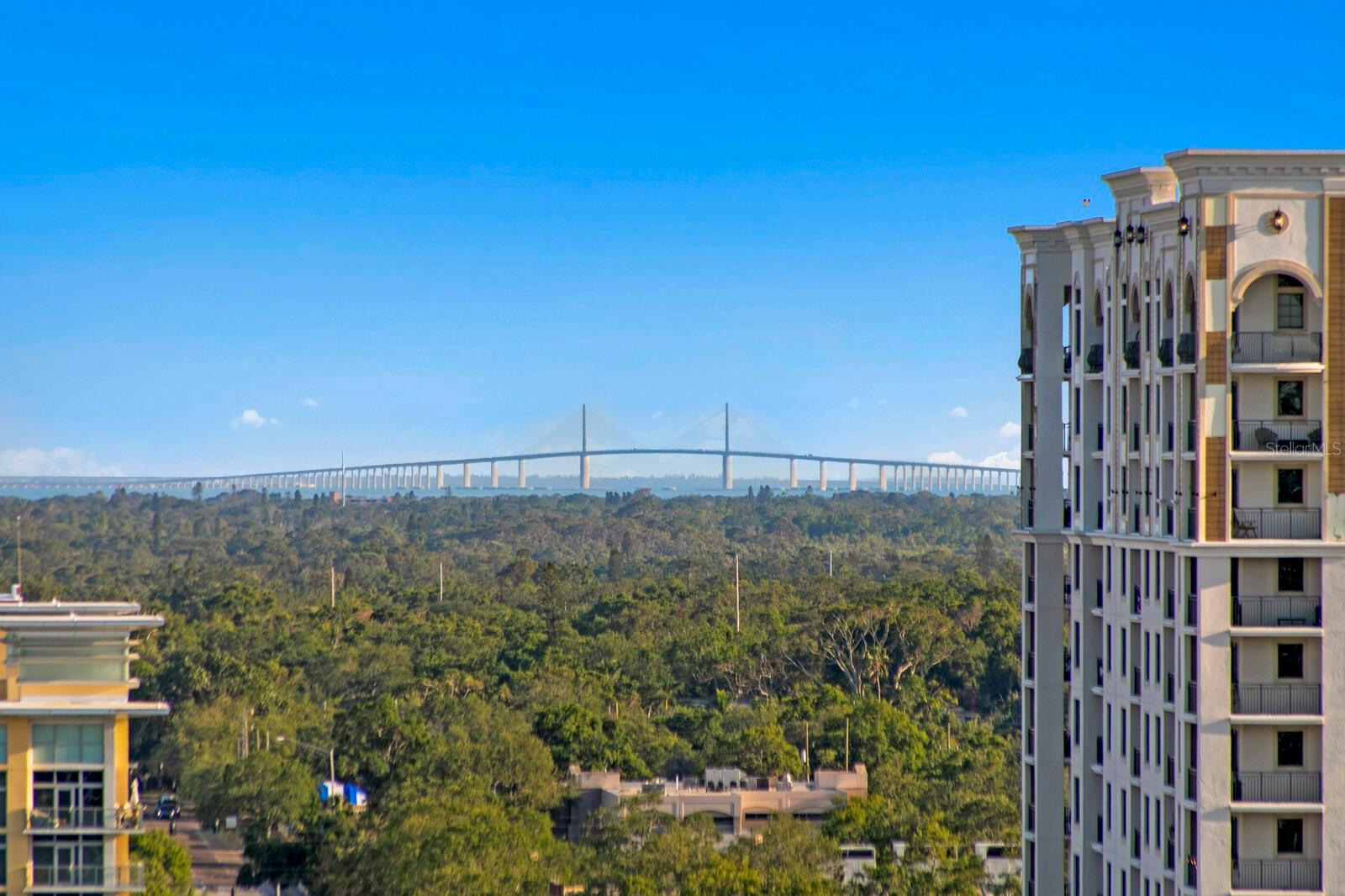 777 3RD AVE N #1408, ST PETERSBURG, FL, 33701