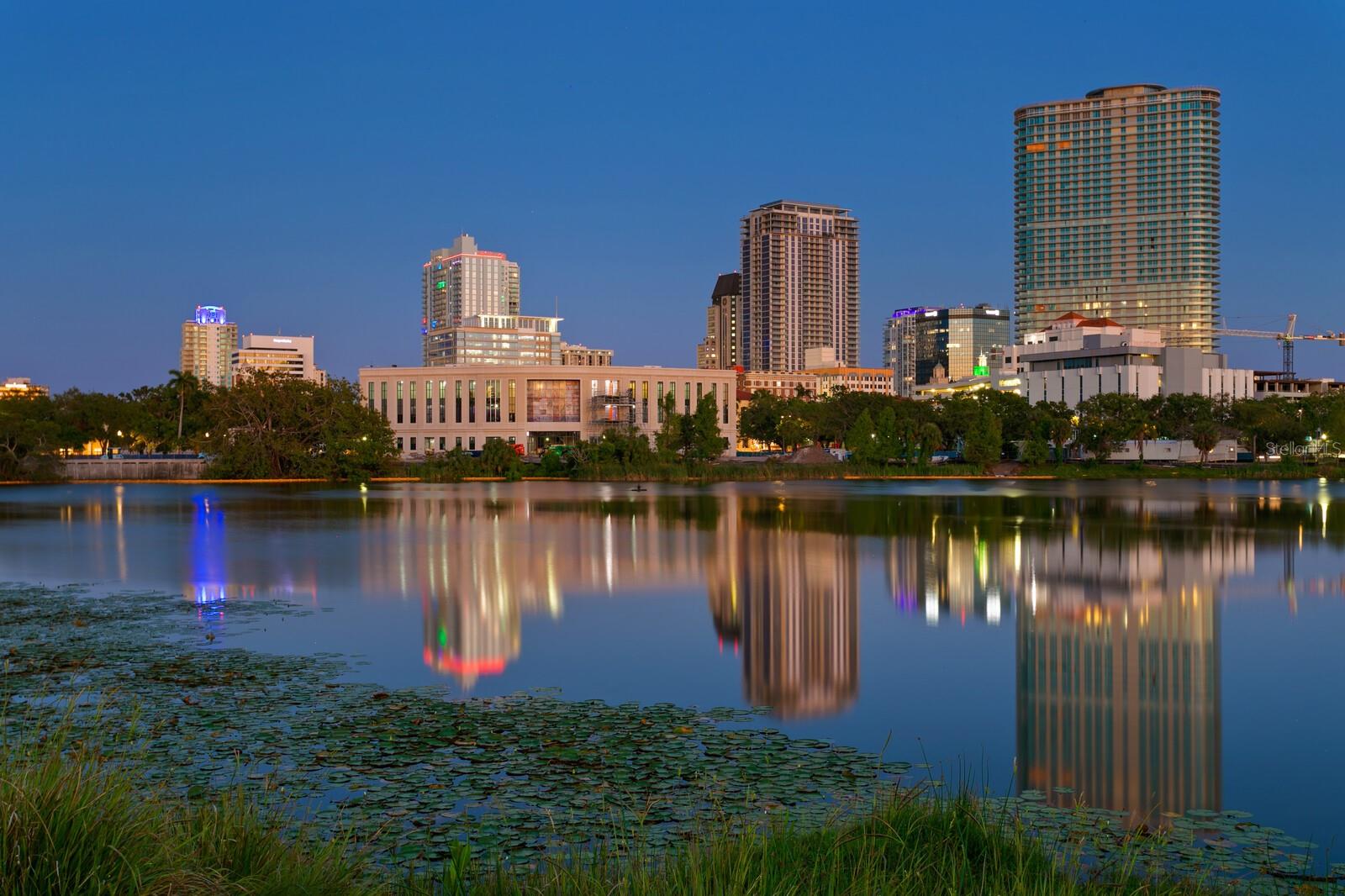 777 3RD AVE N #1408, ST PETERSBURG, FL, 33701