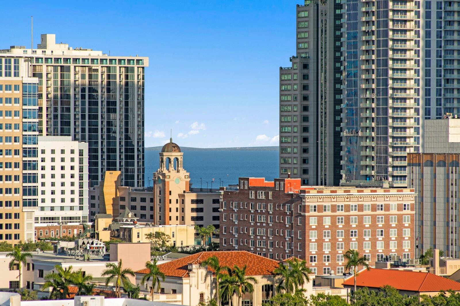 777 3RD AVE N #1408, ST PETERSBURG, FL, 33701