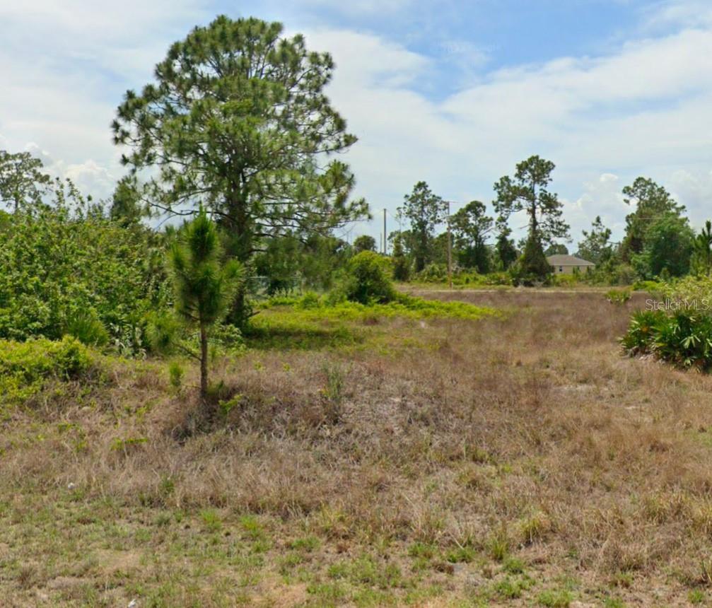 1216 CELLINI ST E, LEHIGH ACRES, FL, 33974