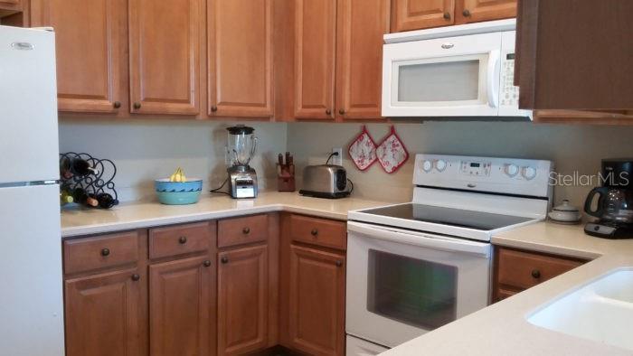 4233 OVERTURE CIR #4233, BRADENTON, FL, 34209