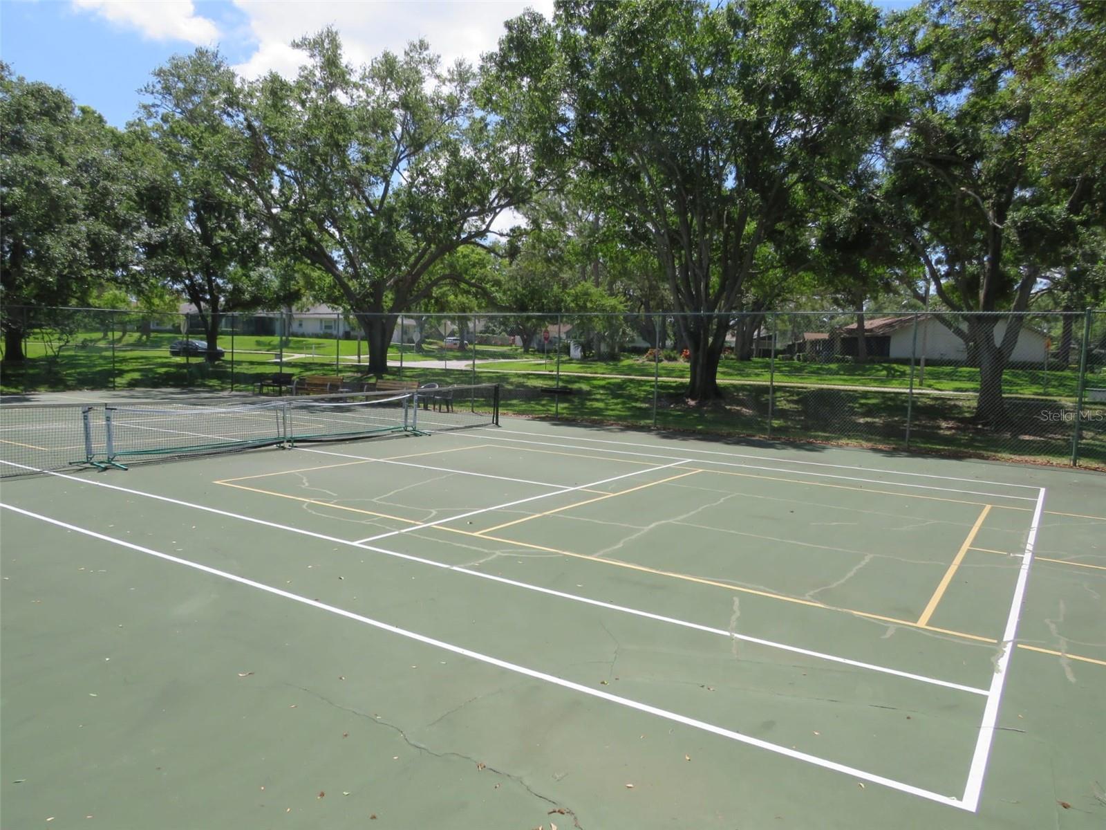 1188 MONTROSE PL #1653, DUNEDIN, FL, 34698