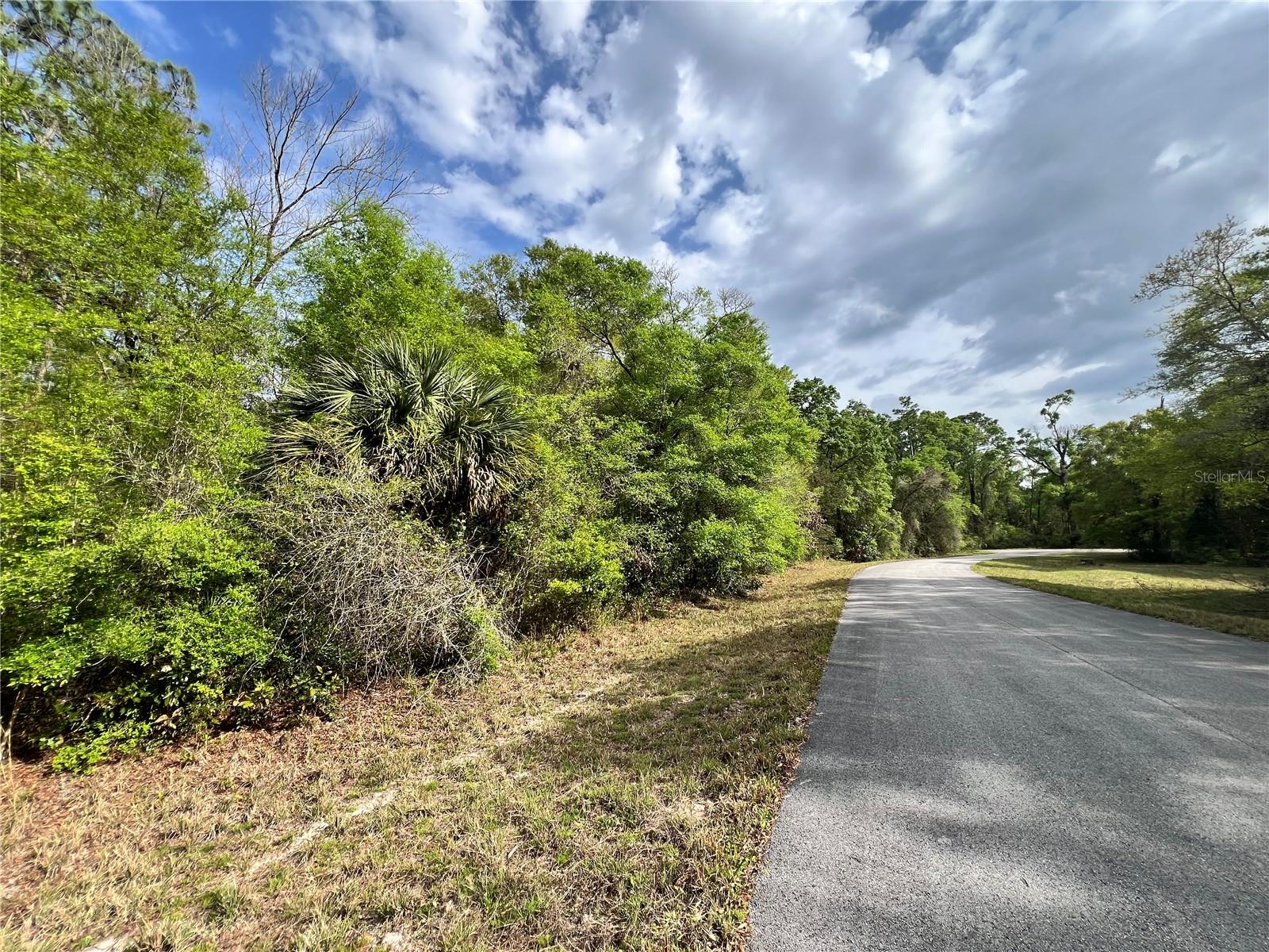 NW 74TH CT #111, CHIEFLAND, FL, 32626