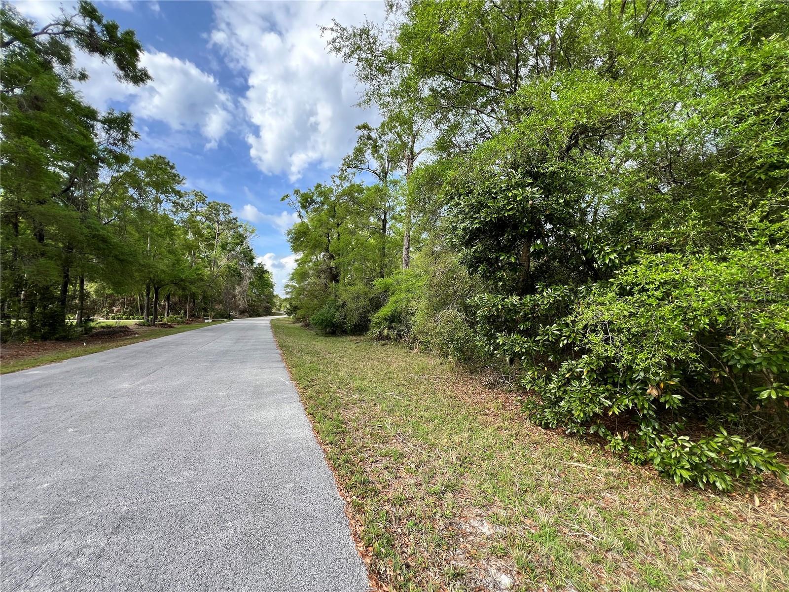 NW 74TH CT #111, CHIEFLAND, FL, 32626