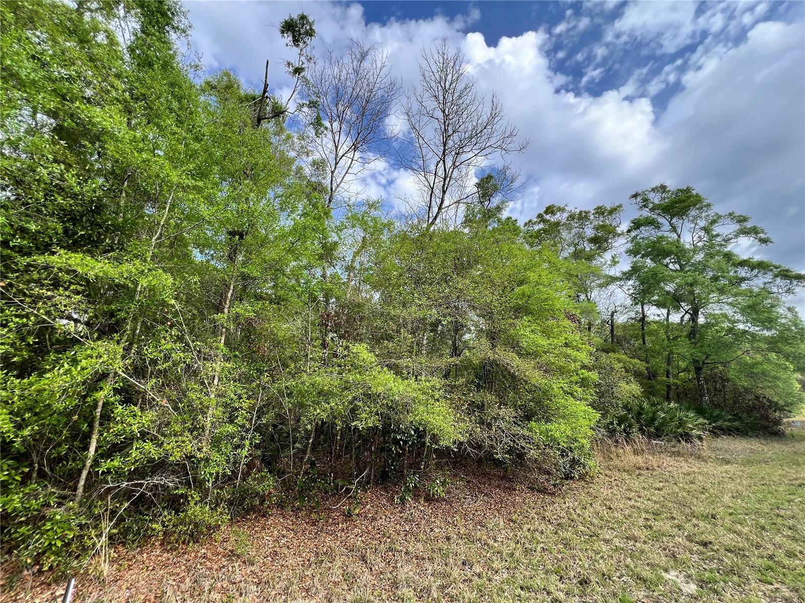 NW 74TH CT #111, CHIEFLAND, FL, 32626