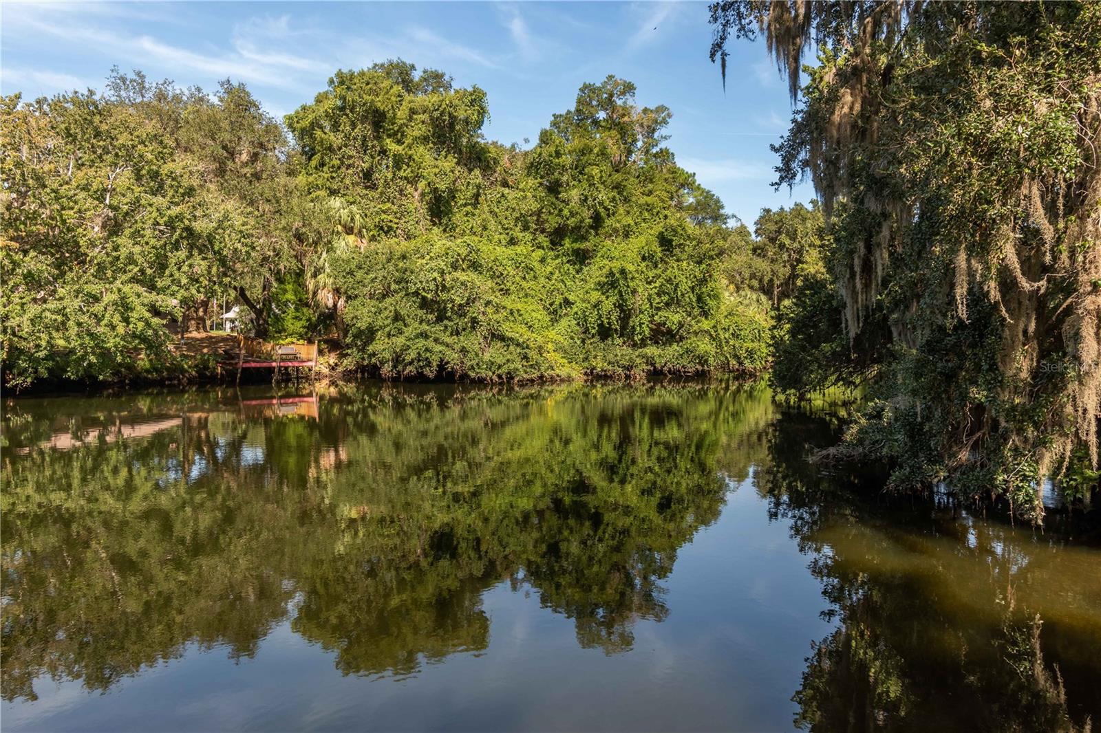 236 MASTADON DR, INGLIS, FL, 34449