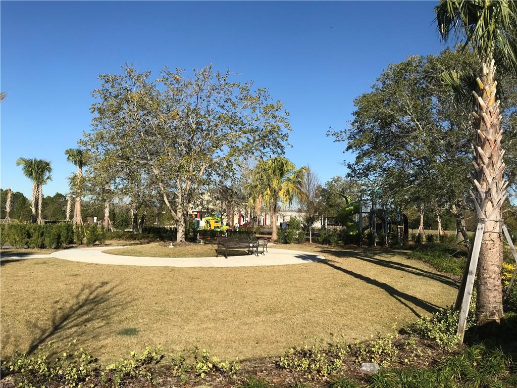 14146 GULLSTRAND AVE, ORLANDO, FL, 32827