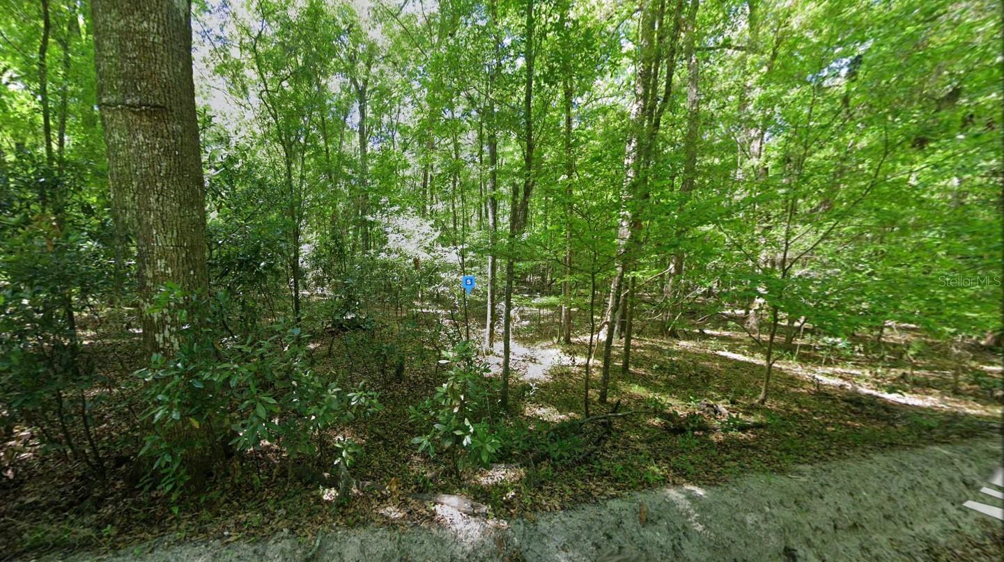 1405 NE 127TH ST, BRANFORD, FL, 32008