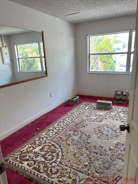 2117 LEMON ST, HAINES CITY, FL, 33844