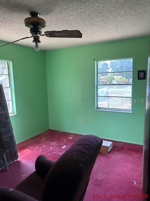 2117 LEMON ST, HAINES CITY, FL, 33844