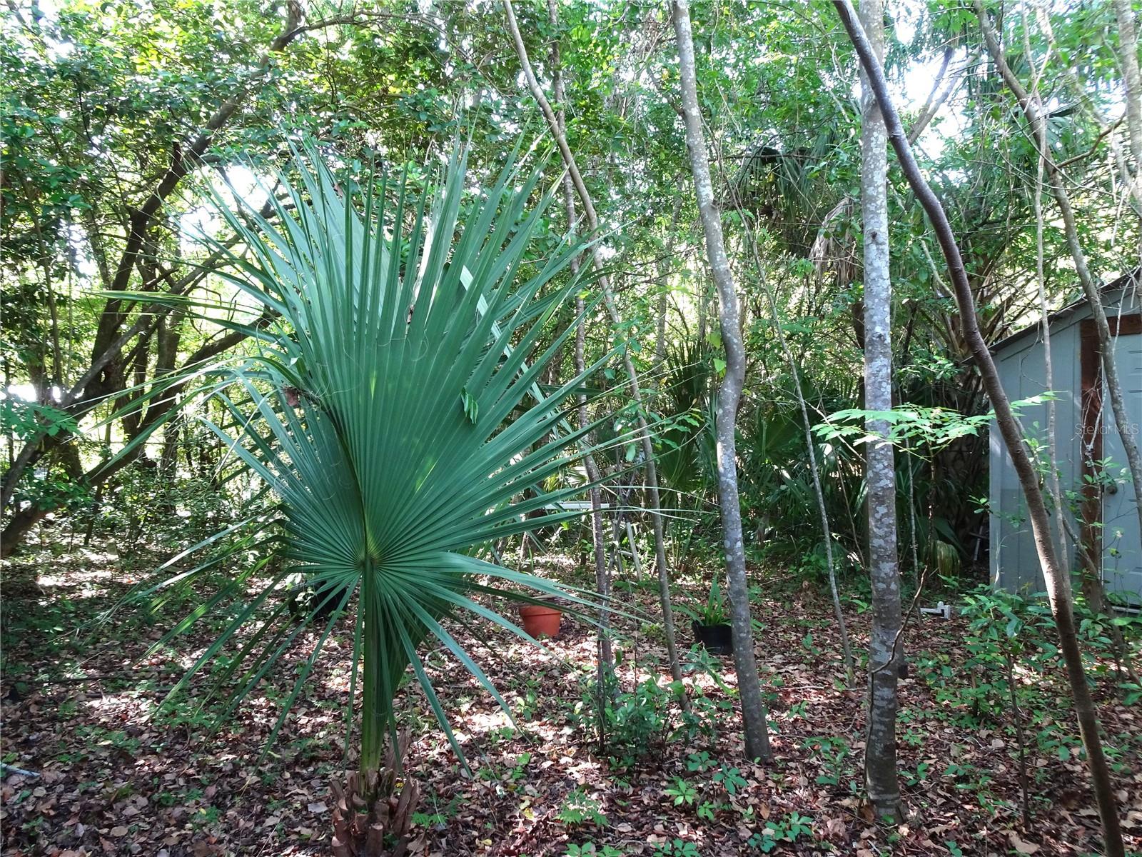 716 NW 9TH AVE, GAINESVILLE, FL, 32601