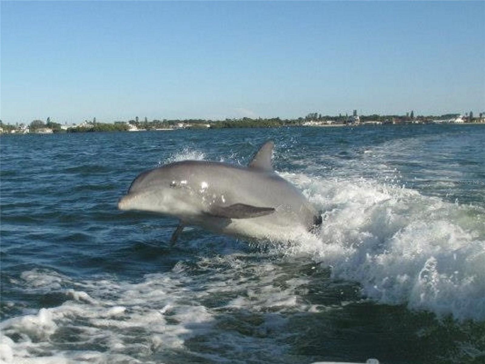 135 WAHOO DR, ROTONDA WEST, FL, 33947