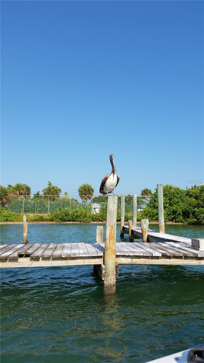 135 WAHOO DR, ROTONDA WEST, FL, 33947