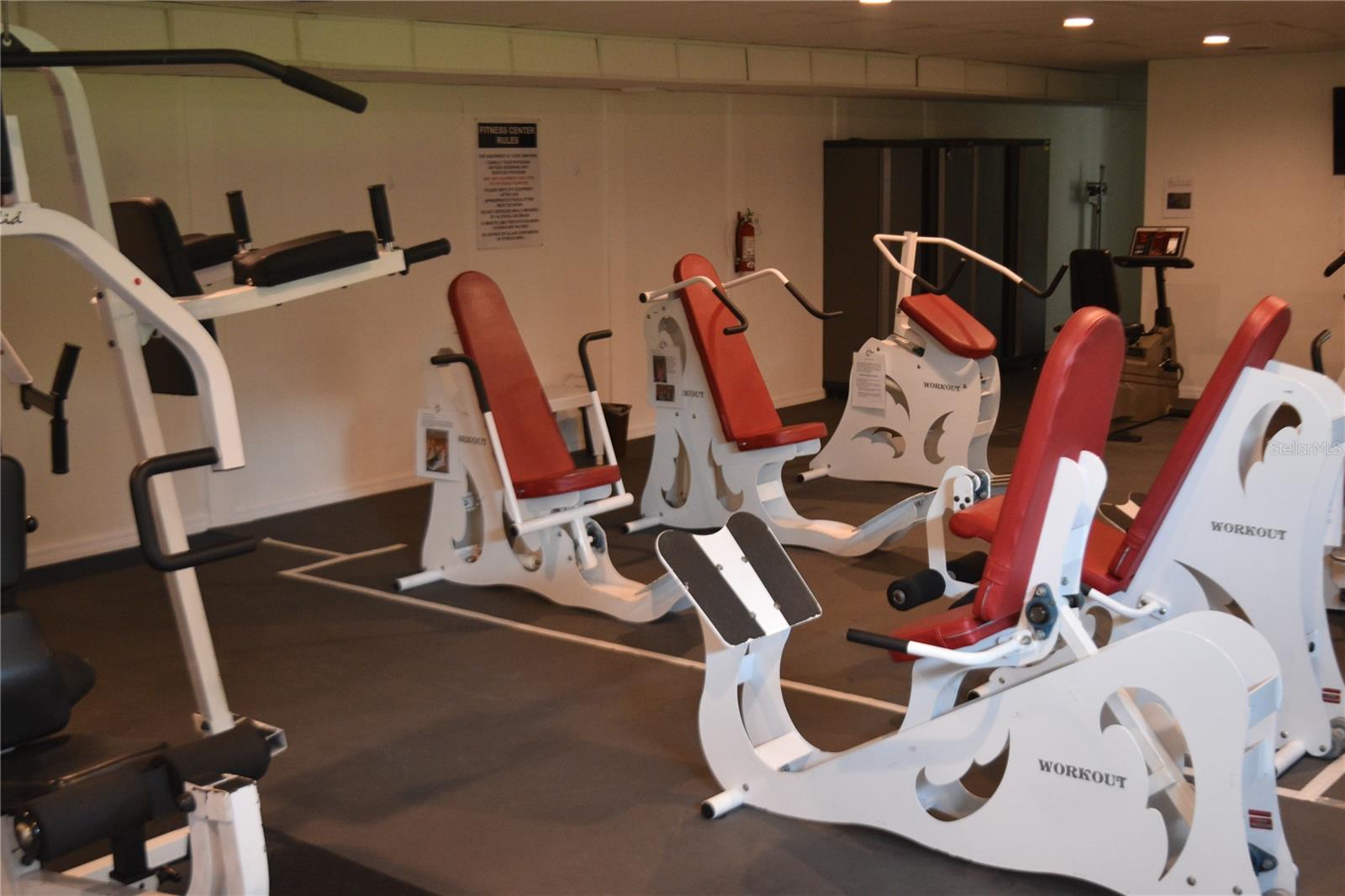 3203 GREEN DOLPHIN ST, TARPON SPRINGS, FL, 34689