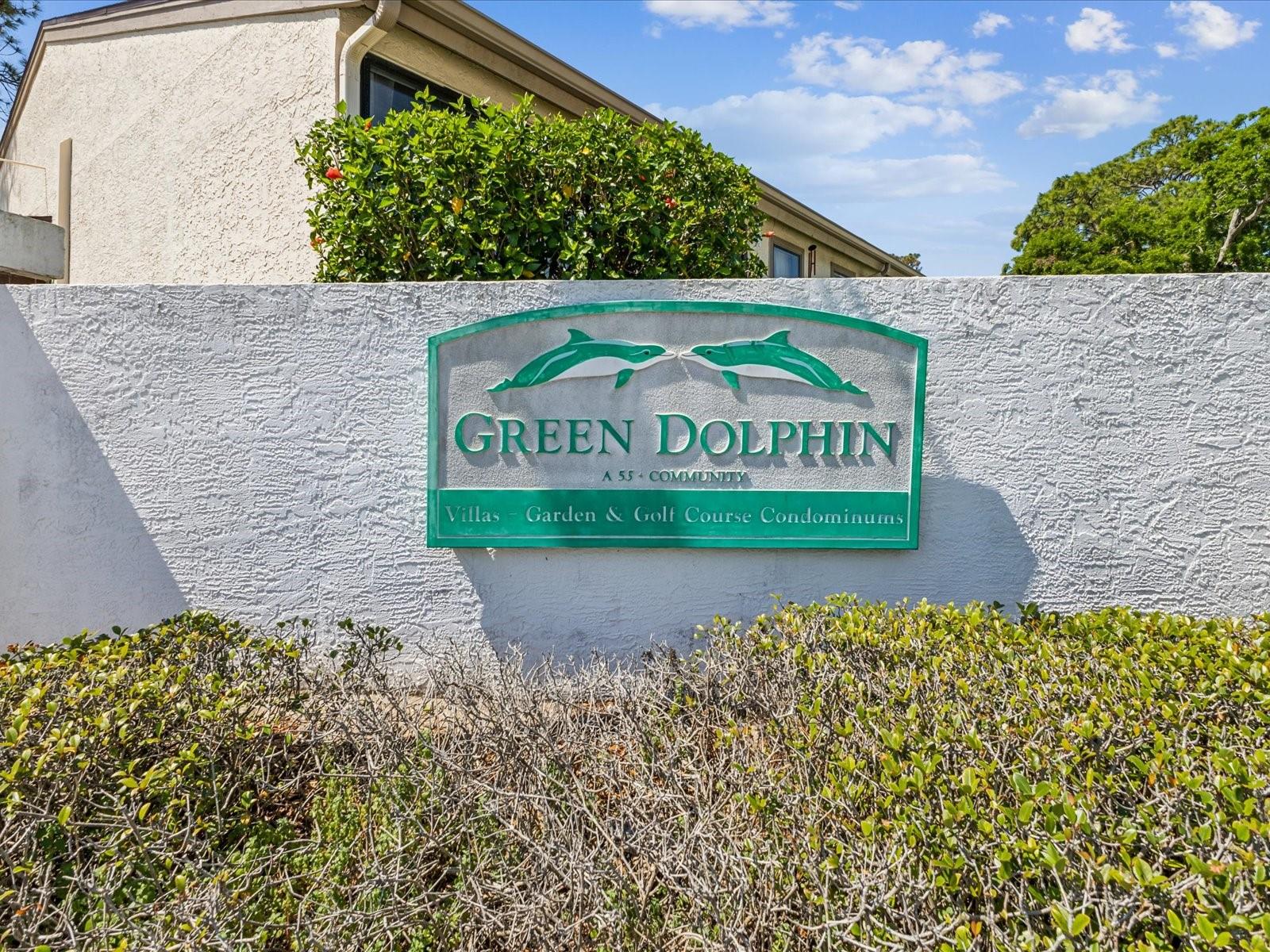 3203 GREEN DOLPHIN ST, TARPON SPRINGS, FL, 34689