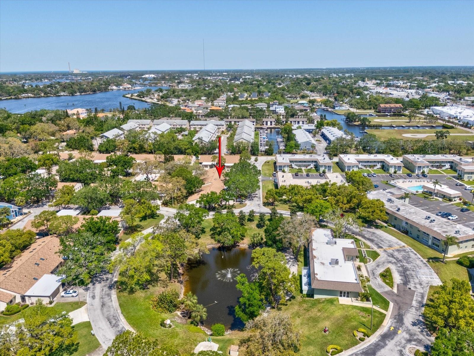 3203 GREEN DOLPHIN ST, TARPON SPRINGS, FL, 34689