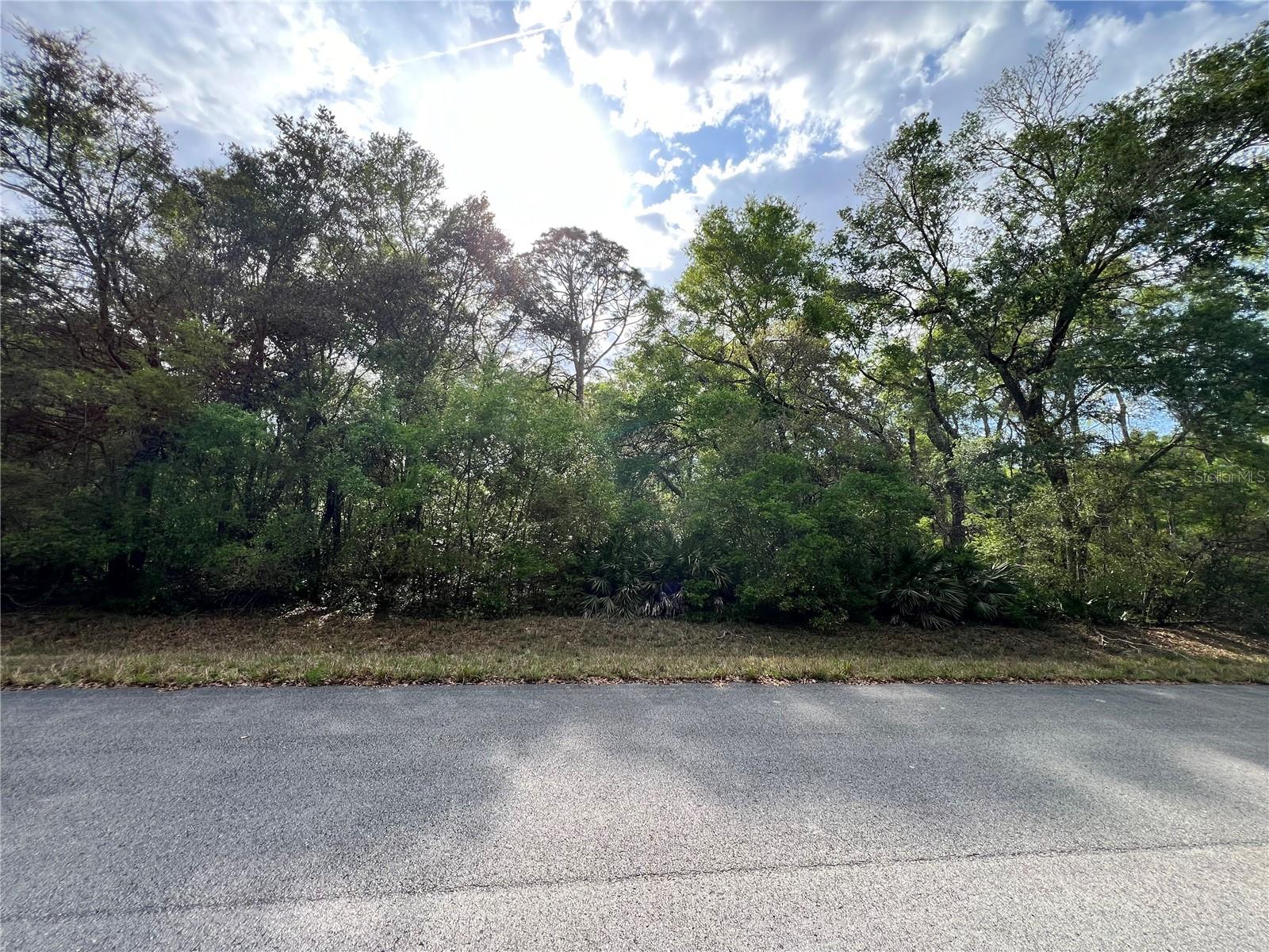 NW 74TH CT #112, CHIEFLAND, FL, 32626