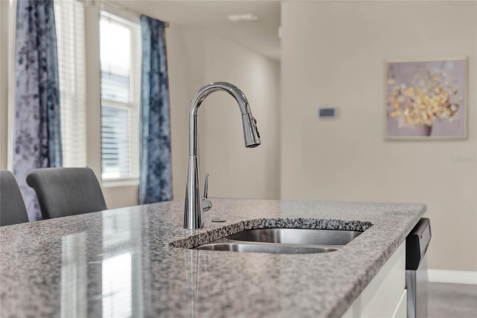 30276 ARMENIA RD, LEESBURG, FL, 34748