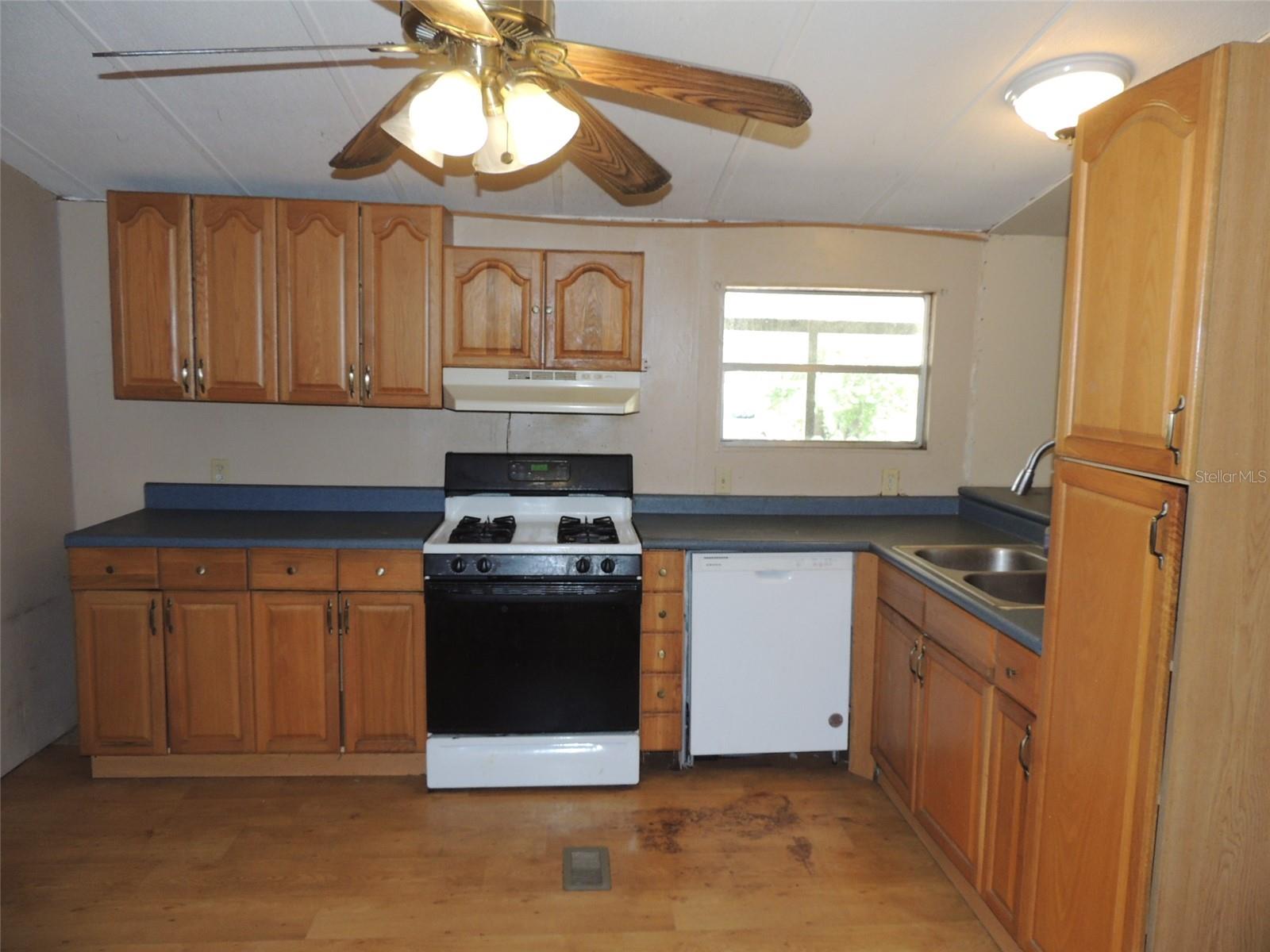 12151 NE 54TH LN, WILLISTON, FL, 32696