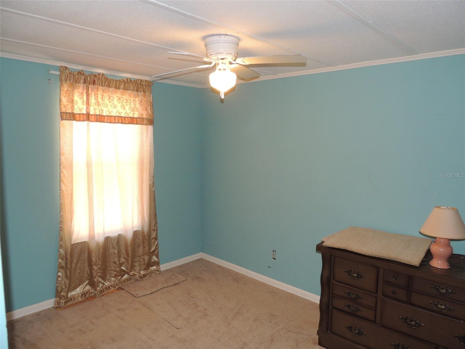 12151 NE 54TH LN, WILLISTON, FL, 32696