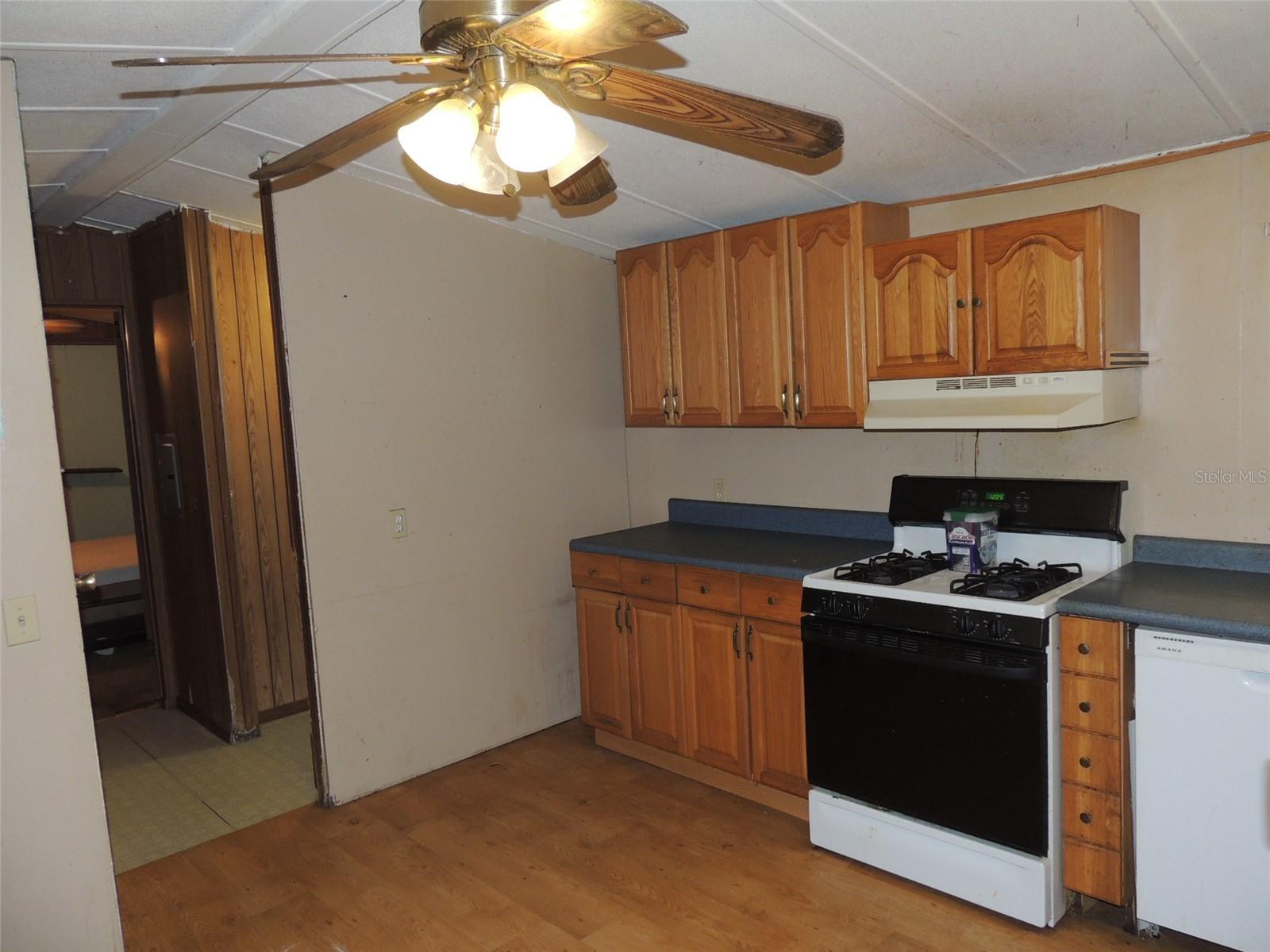 12151 NE 54TH LN, WILLISTON, FL, 32696