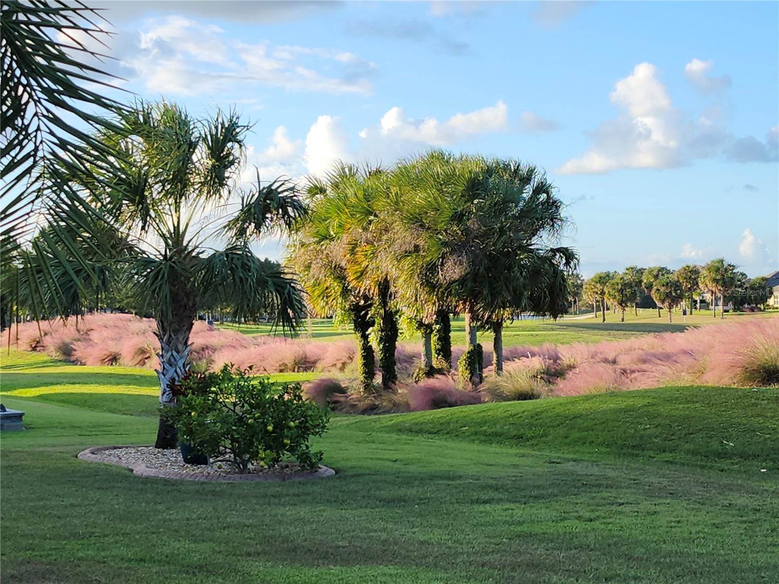 7503 SW 97TH TERRACE RD, OCALA, FL, 34481