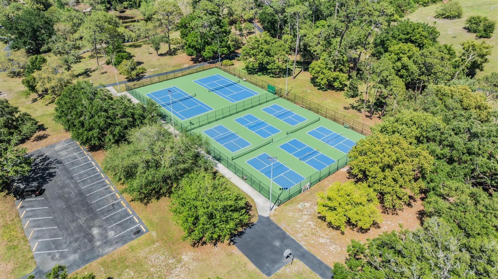 486 LAKEVIEW DR #54, PALM HARBOR, FL, 34683