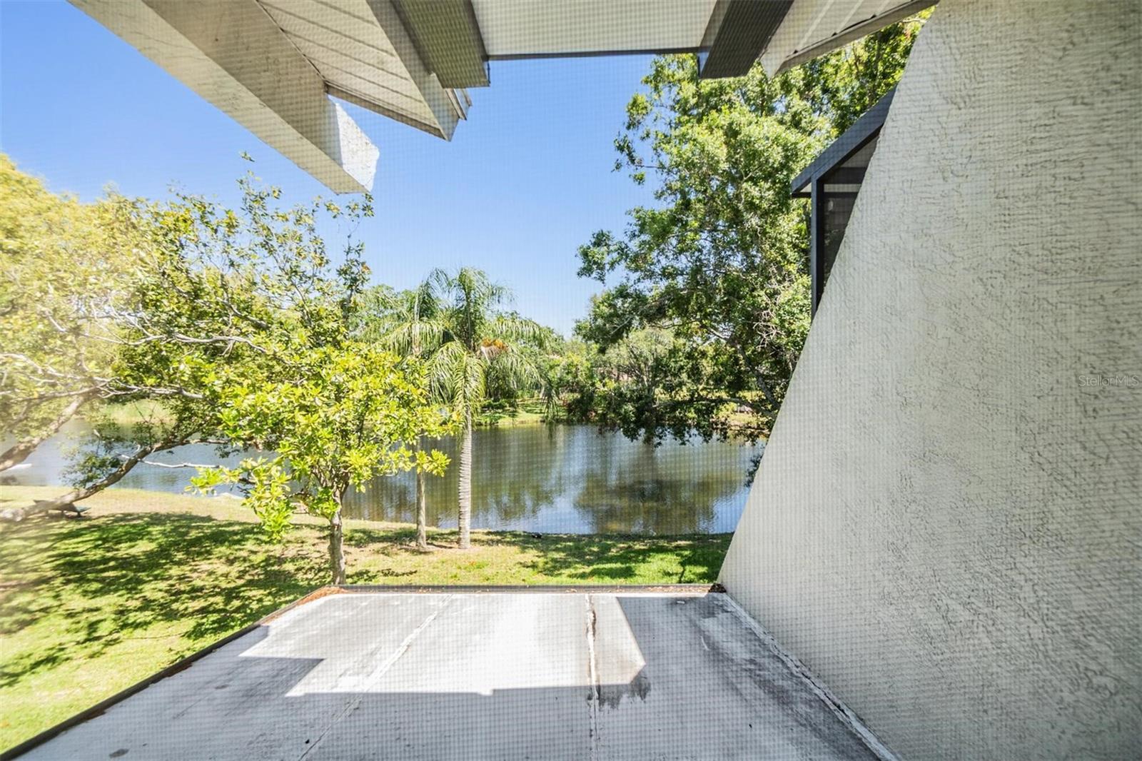 486 LAKEVIEW DR #54, PALM HARBOR, FL, 34683