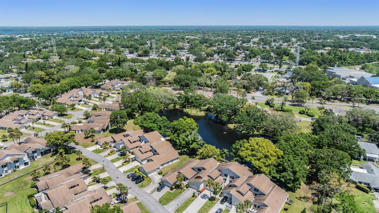 486 LAKEVIEW DR #54, PALM HARBOR, FL, 34683