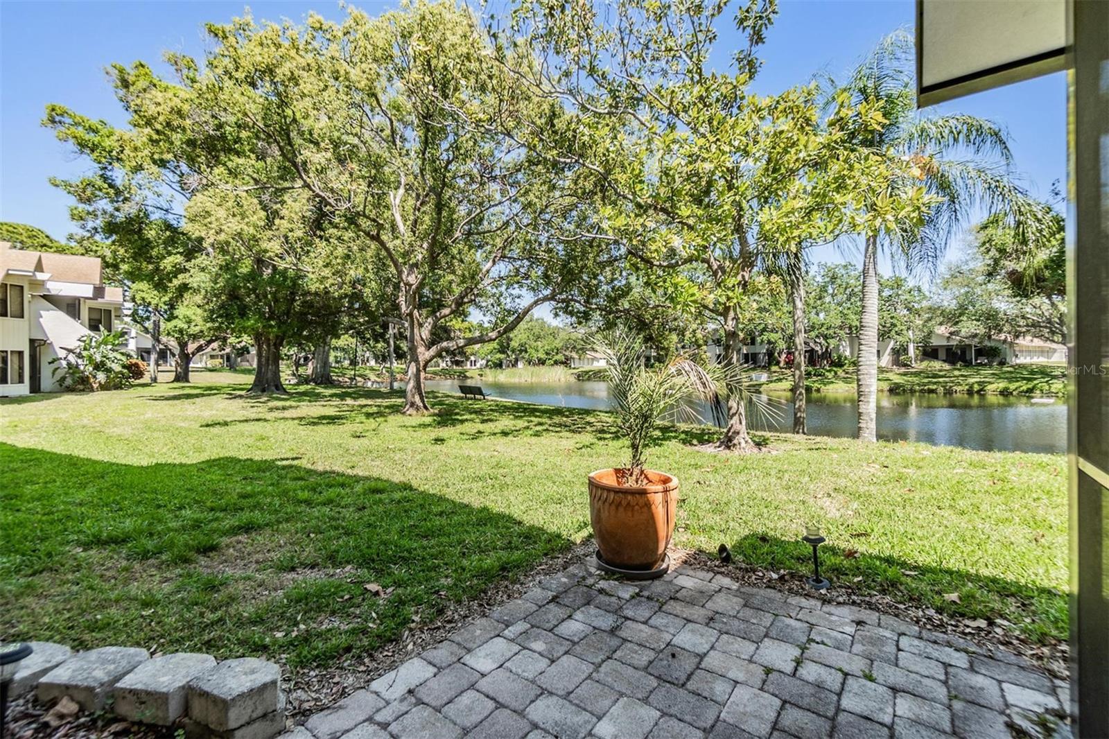 486 LAKEVIEW DR #54, PALM HARBOR, FL, 34683