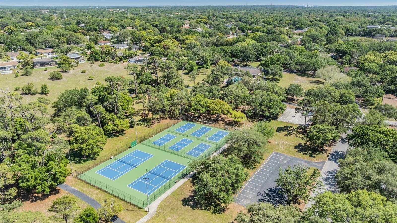 486 LAKEVIEW DR #54, PALM HARBOR, FL, 34683