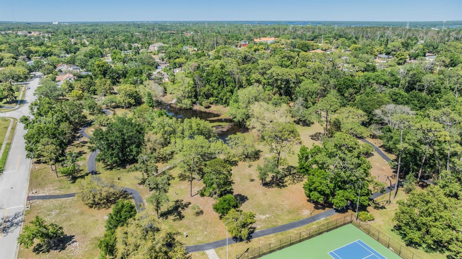 486 LAKEVIEW DR #54, PALM HARBOR, FL, 34683