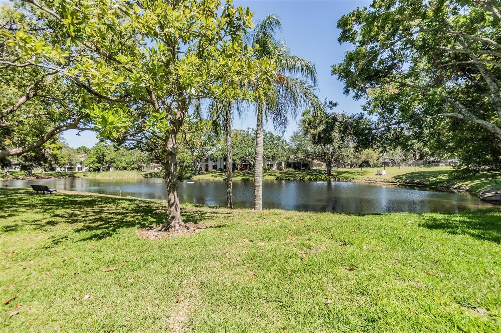 486 LAKEVIEW DR #54, PALM HARBOR, FL, 34683