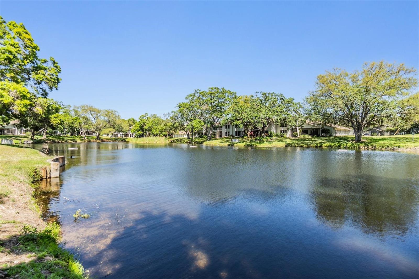 486 LAKEVIEW DR #54, PALM HARBOR, FL, 34683