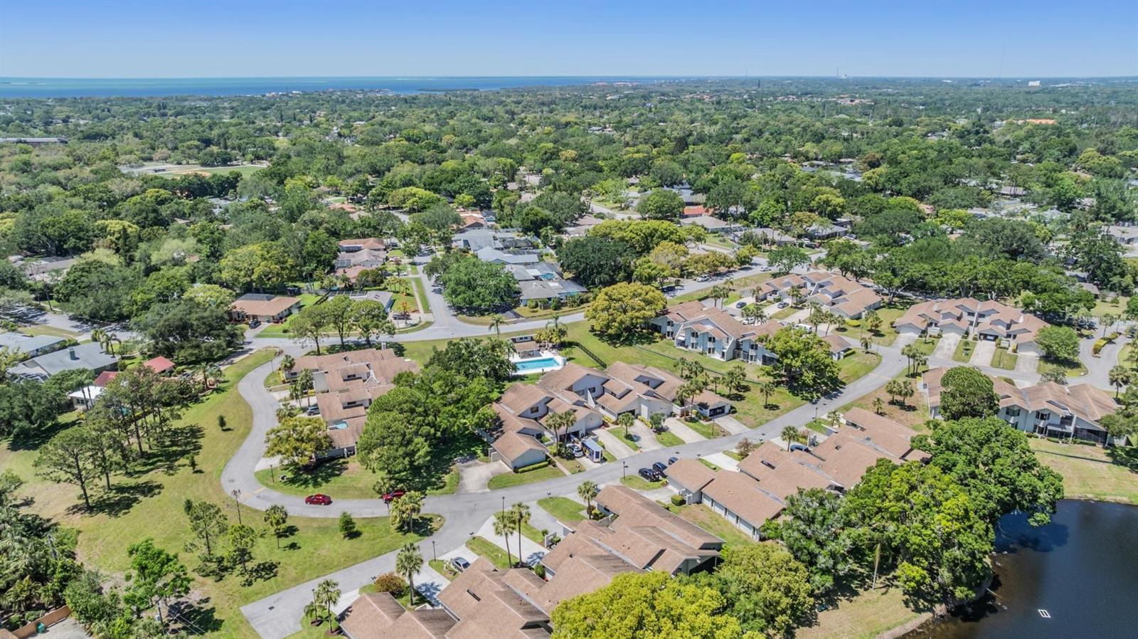 486 LAKEVIEW DR #54, PALM HARBOR, FL, 34683