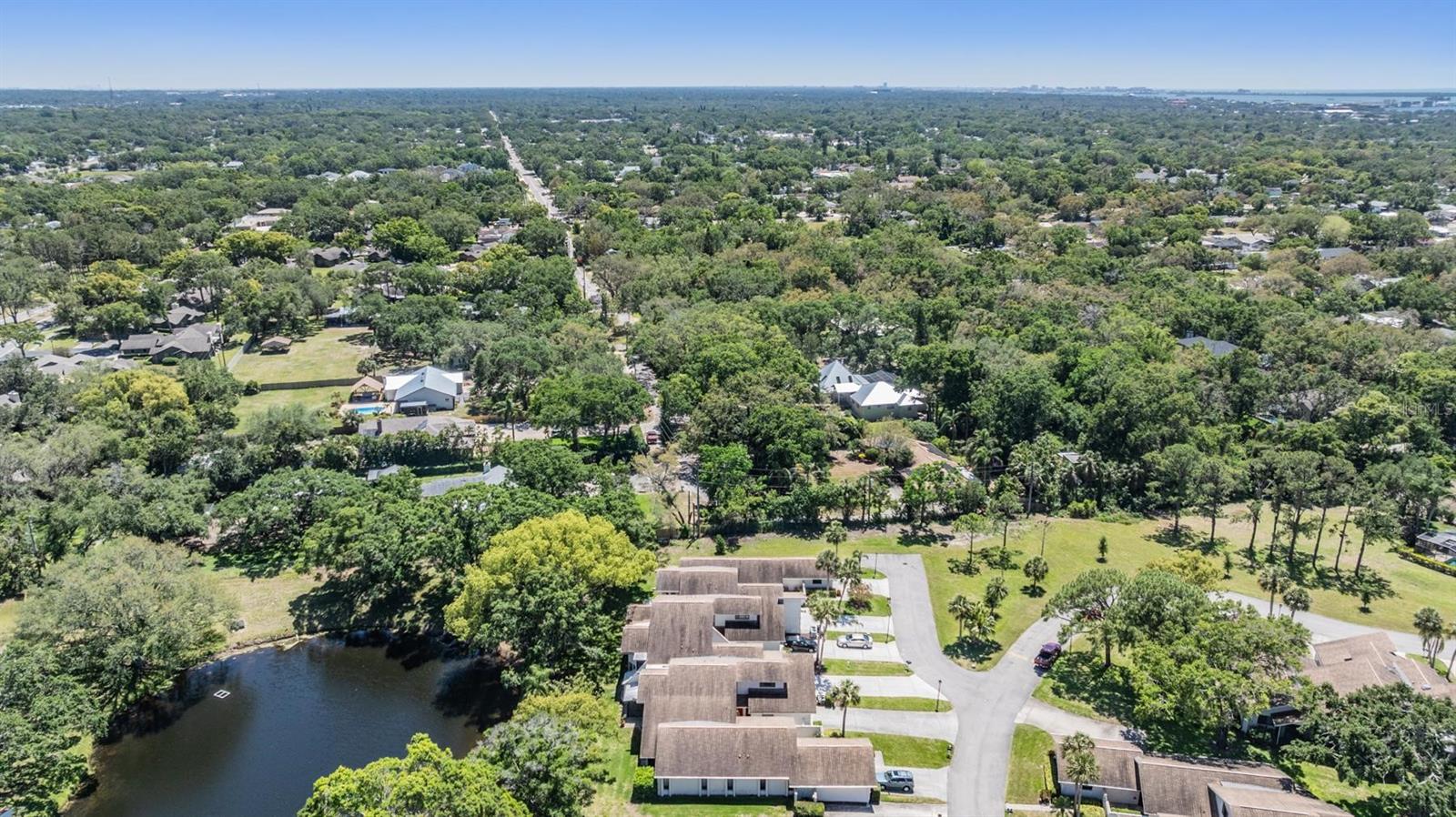 486 LAKEVIEW DR #54, PALM HARBOR, FL, 34683