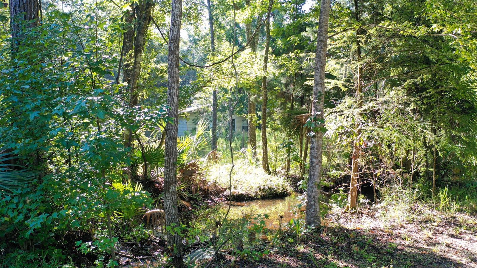 0000 SW FOX TROT RD, CHIEFLAND, FL, 32626