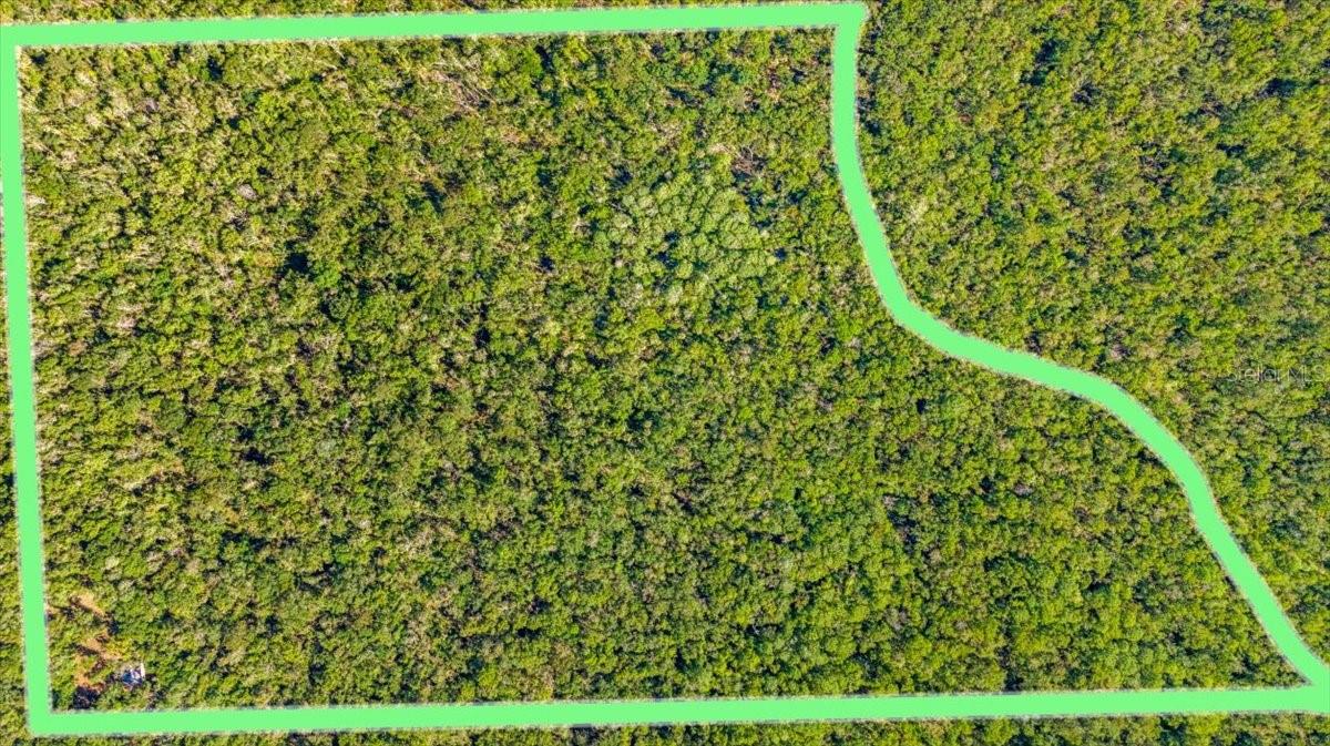 0000 SW FOX TROT RD, CHIEFLAND, FL, 32626