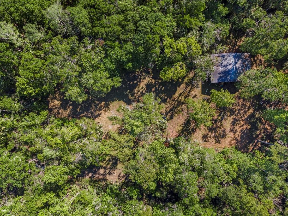 0000 SW FOX TROT RD, CHIEFLAND, FL, 32626