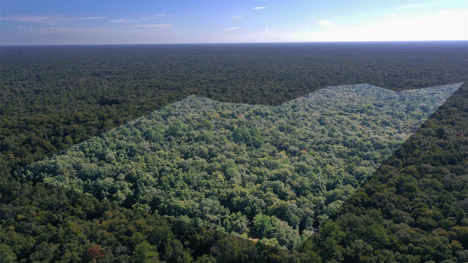 0000 SW FOX TROT RD, CHIEFLAND, FL, 32626