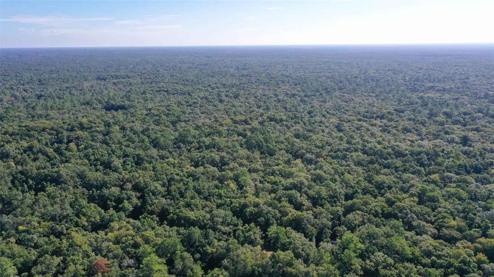 0000 SW FOX TROT RD, CHIEFLAND, FL, 32626