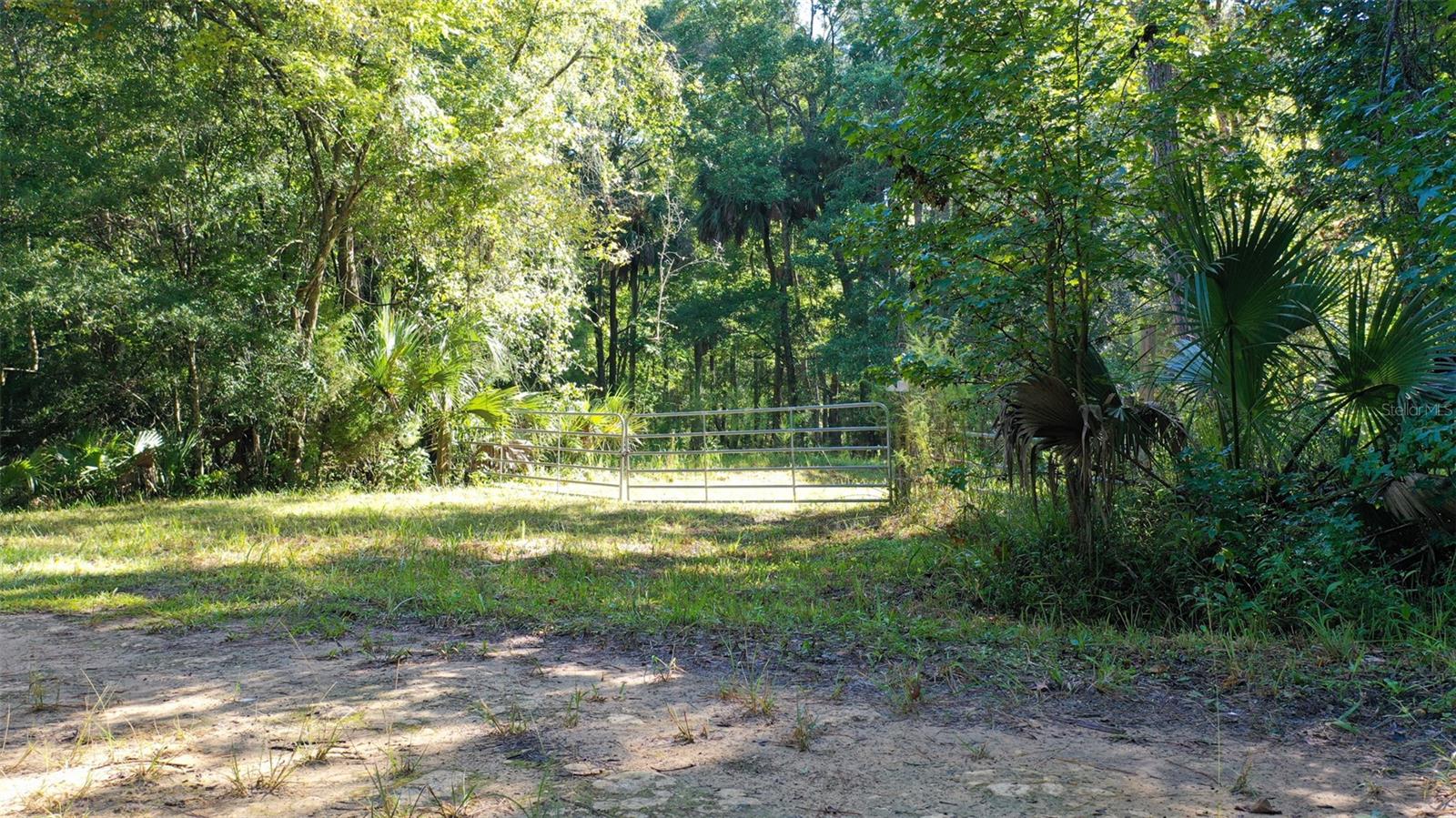 0000 SW FOX TROT RD, CHIEFLAND, FL, 32626