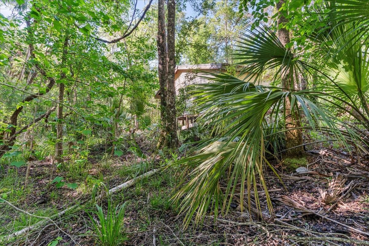 0000 SW FOX TROT RD, CHIEFLAND, FL, 32626